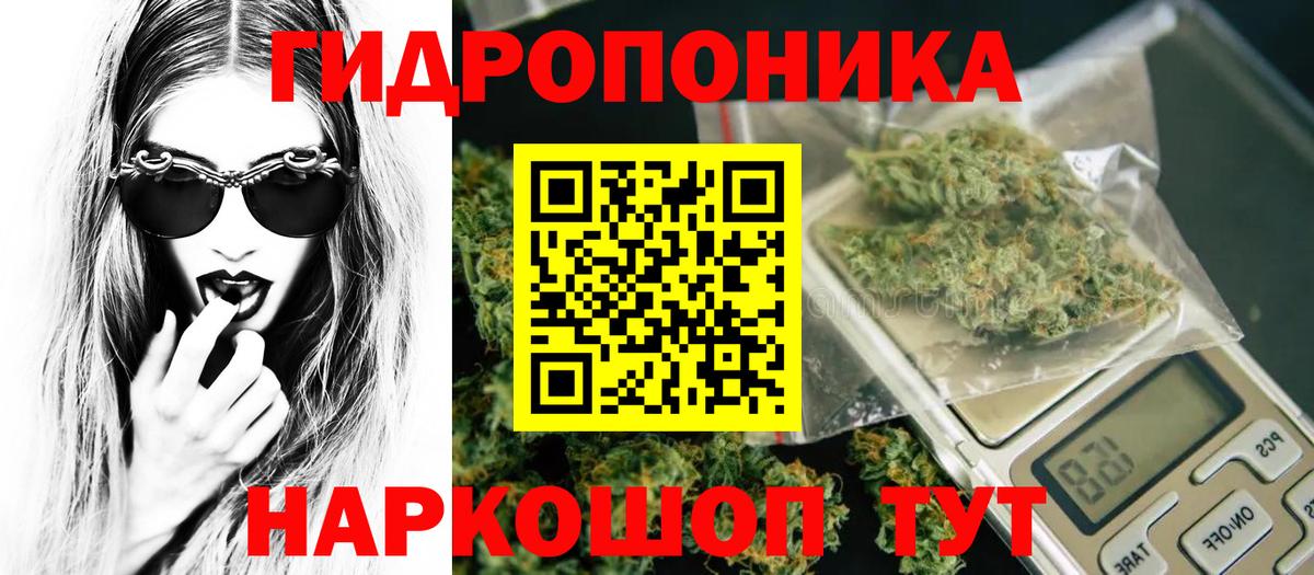 Лесозаводск  Каннабис Bruce Banner  Вход с VPN  Шишки марихуана тримм  Канабис конопля 